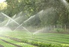 Brumby Plainslandscaping-water-management-and-drainage-17.jpg; ?>